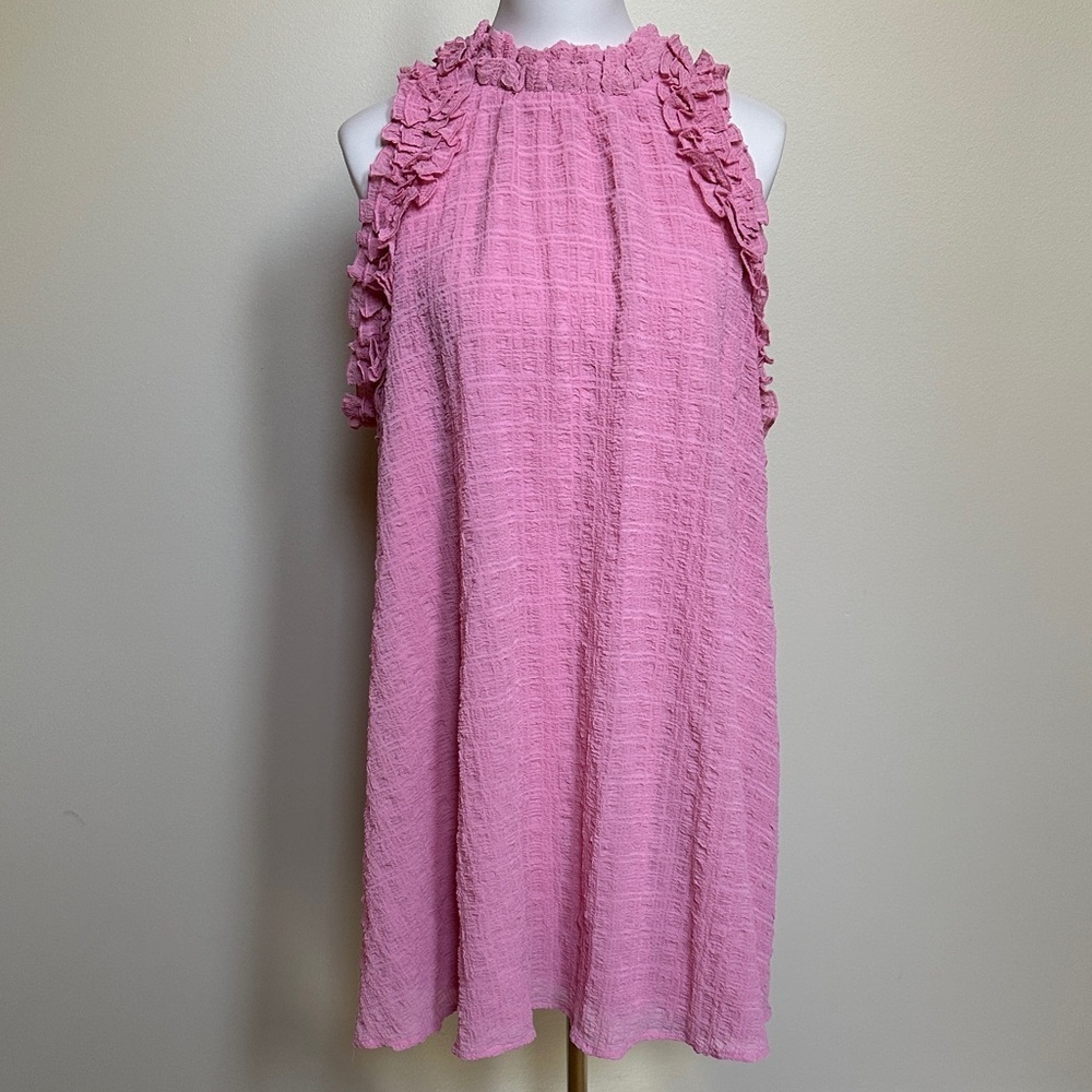 Aura Pink Flirty Ruffled Mini Dress